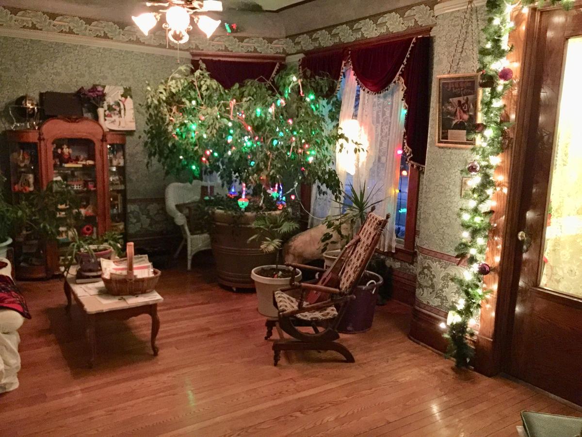 Scarlett House Victorian B & B 斯维尔 外观 照片